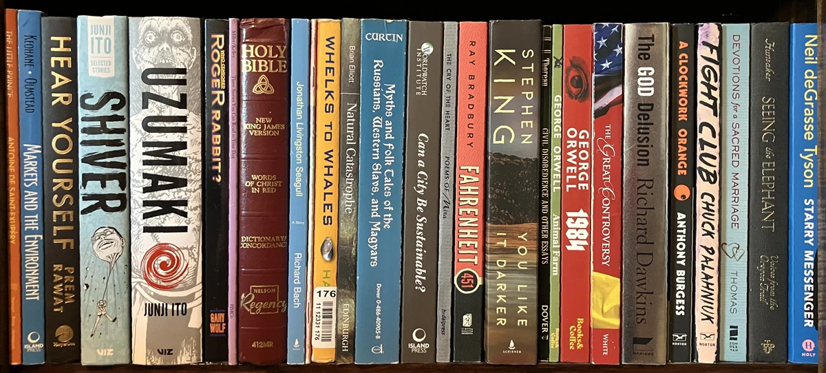Middle Shelf Zoom